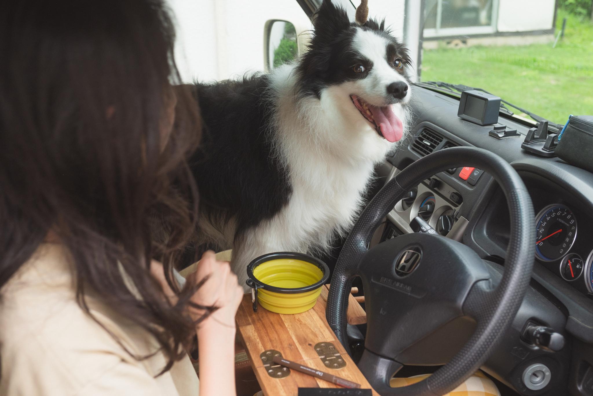 【ウォールナット】折りたためる車載デスク 移動できる書斎 車中泊 車 テーブル オンラインミーティング ワークデスク | 13枚目